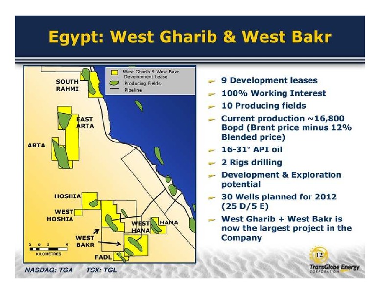 GLOBAL ENERGY CONFERENCE – Transglobe Energy Corporation – slide 12