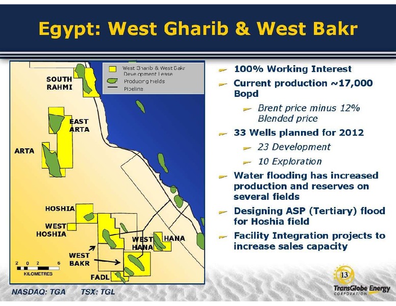 GLOBAL ENERGY CONFERENCE – Transglobe Energy Corporation – slide 13