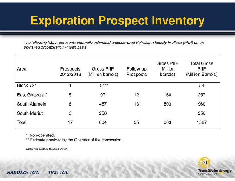 GLOBAL ENERGY CONFERENCE – Transglobe Energy Corporation – slide 21
