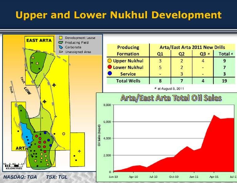 GLOBAL ENERGY CONFERENCE – Transglobe Energy Corporation – slide 14