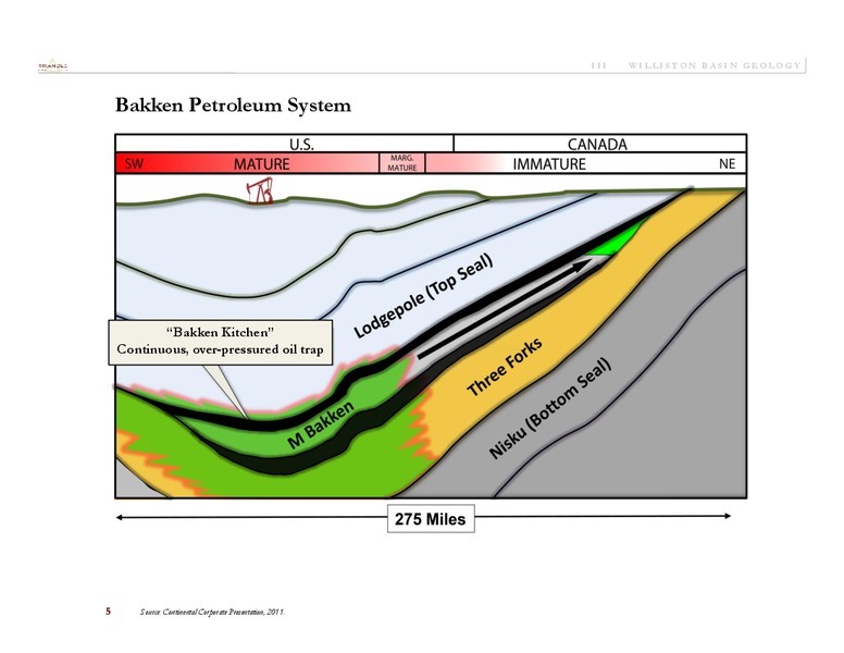 ENERCOMS 2011 OIL AND GAS CONFERENCE – Triangle Petroleum Corp – slide 10