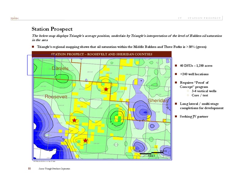 ENERCOMS 2011 OIL AND GAS CONFERENCE – Triangle Petroleum Corp – slide 17