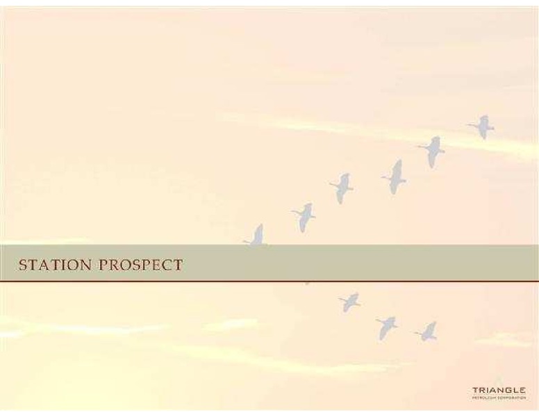 CORPORATE PRESENTATION – Triangle Petroleum Corp – slide 12