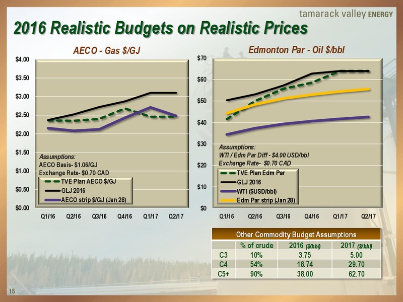 January 2016 Investor Presentation – Tamarack Valley Energy Ltd. – slide 14