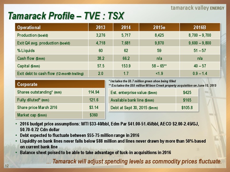 March 2016 Investor Presentation – Tamarack Valley Energy Ltd. – slide 11