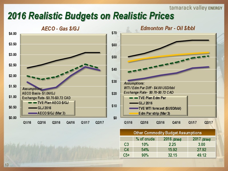 March 2016 Investor Presentation – Tamarack Valley Energy Ltd. – slide 12