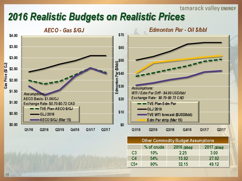 Creating a Sustainable Business – Tamarack Valley Energy Ltd. – slide 14