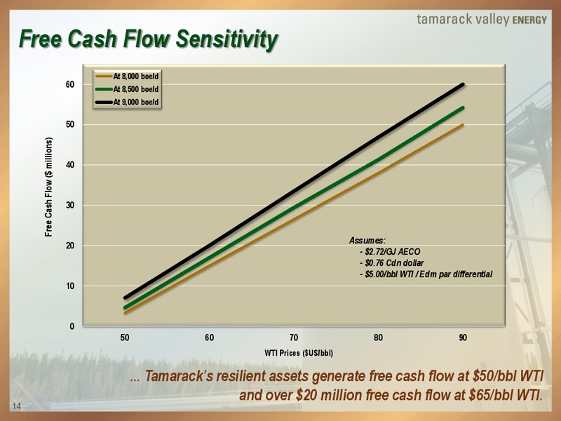 Peters and Co Energy Conference – Tamarack Valley Energy Ltd. – slide 14