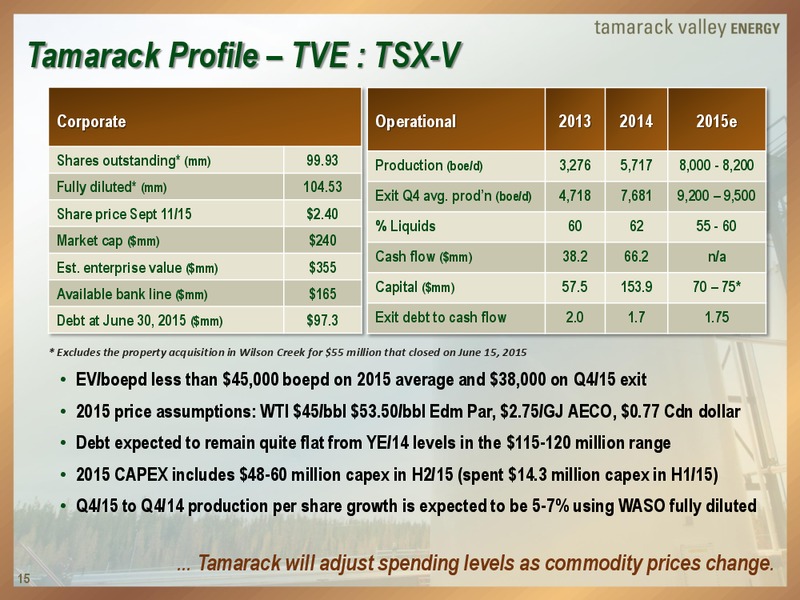 Peters and Co Energy Conference – Tamarack Valley Energy Ltd. – slide 15