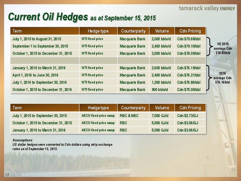 Peters and Co Energy Conference – Tamarack Valley Energy Ltd. – slide 19
