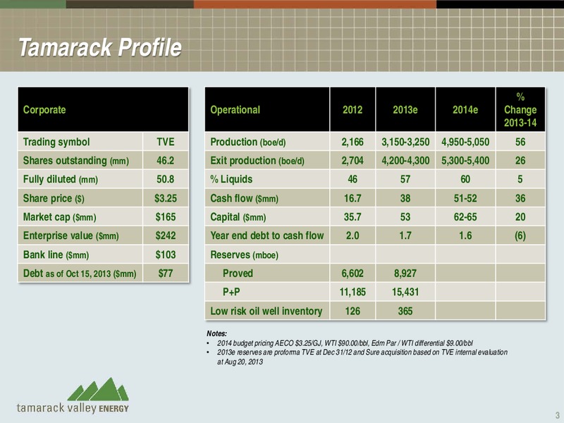 CANACCORD GENUITY GLOBAL RESOURCE CONFERENCE 2013 – Tamarack Valley Energy Ltd. – slide 3