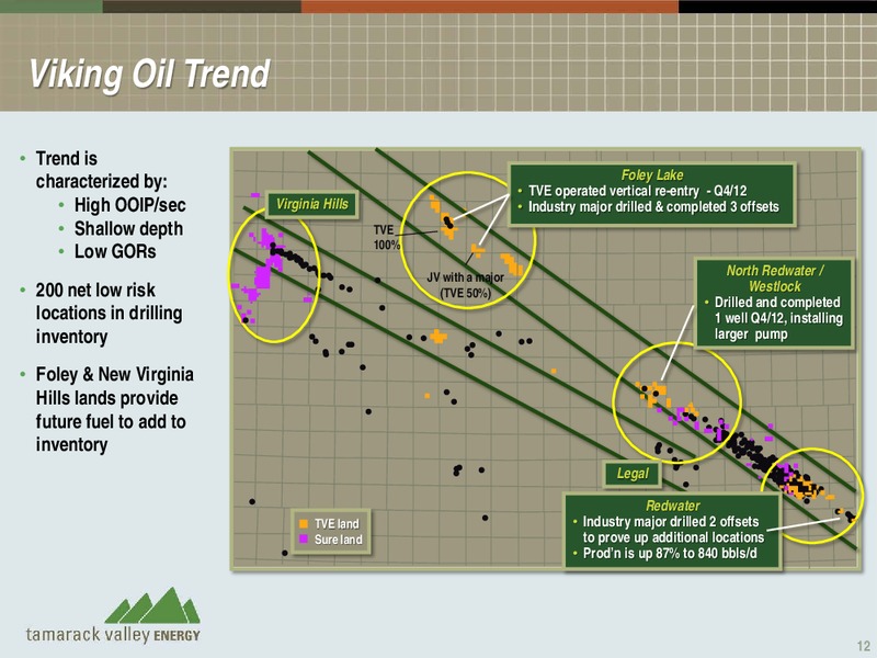 CANACCORD GENUITY GLOBAL RESOURCE CONFERENCE 2013 – Tamarack Valley Energy Ltd. – slide 12