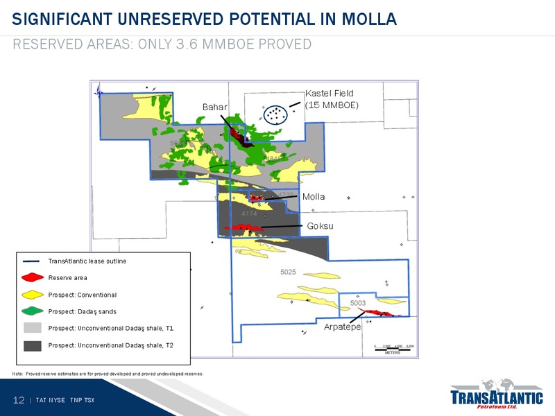 28th Annual Roth Conference – Transatlantic Petroleum Ltd. – slide 10
