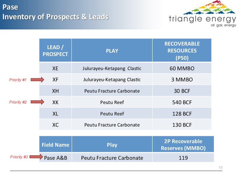 PASE BLOCK ACEH PROVINCE INDONESIA EXTENSION PHASE 2012   2032 – Triangle Energy – slide 10