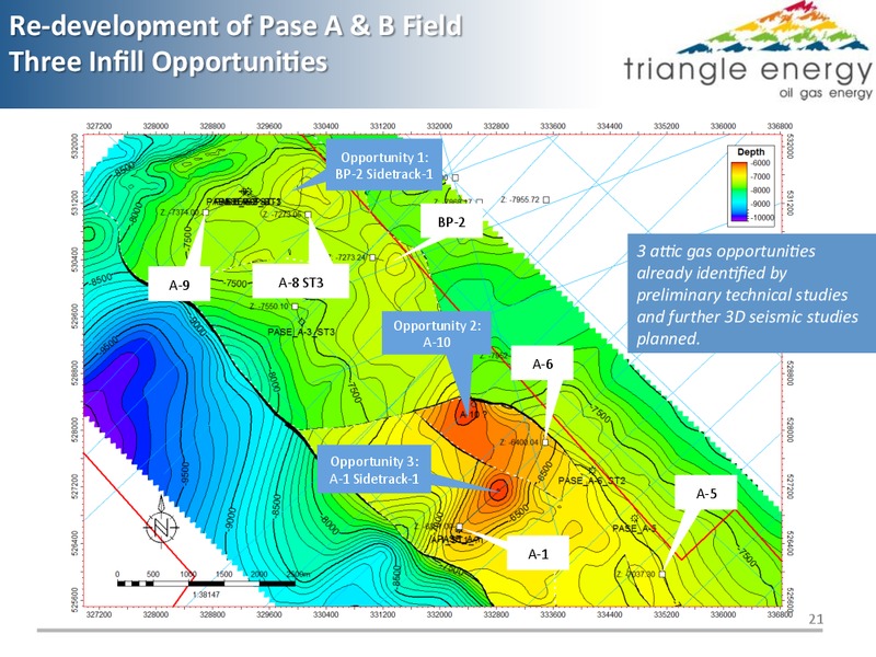 PASE BLOCK ACEH PROVINCE INDONESIA EXTENSION PHASE 2012   2032 – Triangle Energy – slide 20
