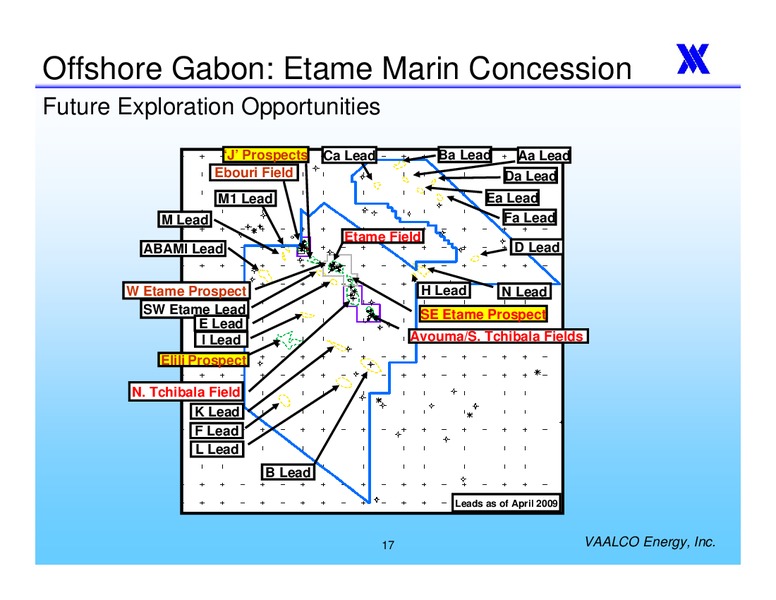 ANNUAL MEETING OF THE SHAREHOLDERS – Vaalco Energy Inc. – slide 16