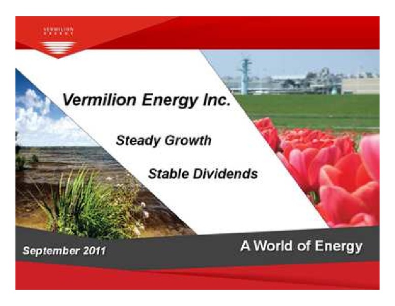 PETERS & CO LIMITED 2011 NORTH AMERICAN OIL & GAS CONFERENCE – Vermilion Energy Inc. – slide 1