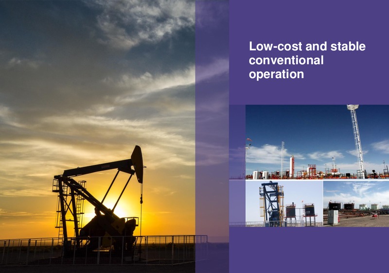 December 2019 Investor Presentation – Vista Oil & Gas – slide 5