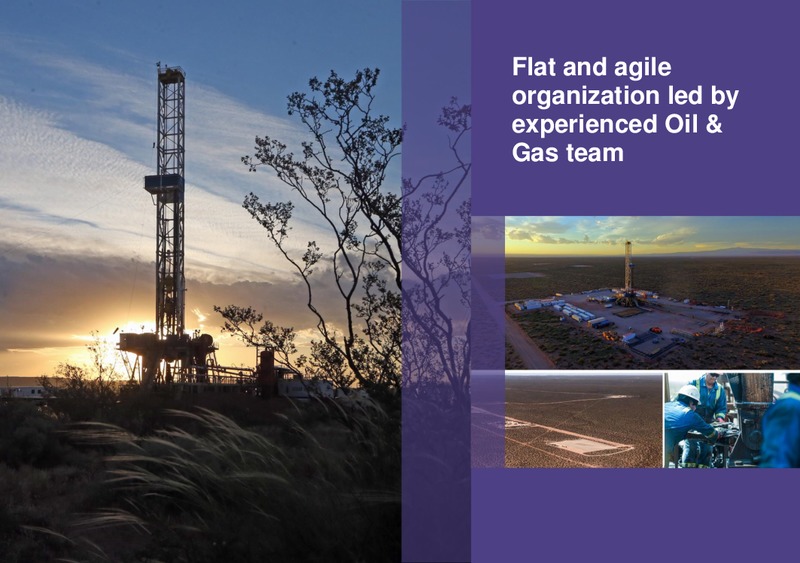 December 2019 Investor Presentation – Vista Oil & Gas – slide 20
