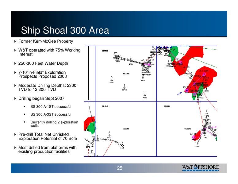 Pritchard Capital Partners ENERGIZE 2008 – W&T Offshore Inc. – slide 25