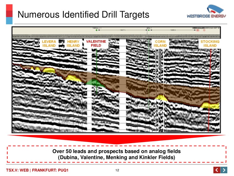 Investor Presentation – Westbridge Energy – slide 13