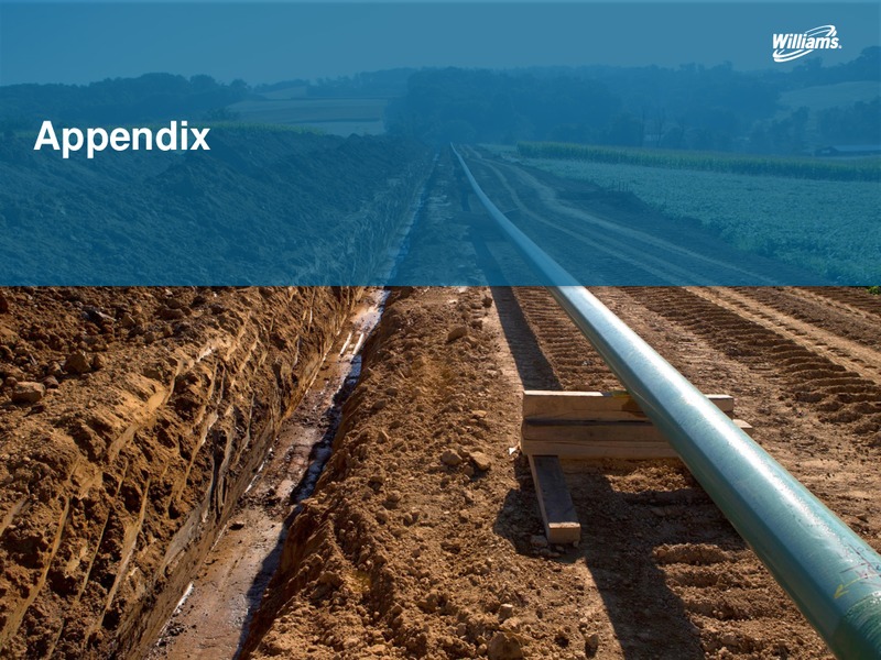 Wells Fargo 2014 Energy Symposium – Williams Companies, Inc. – slide 17