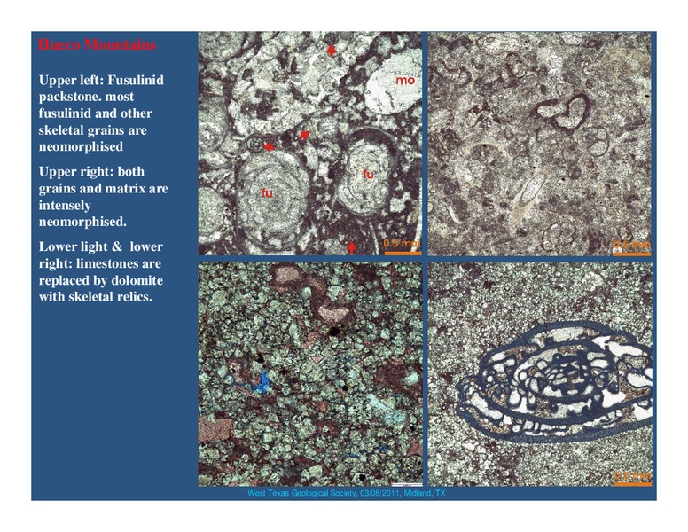 Synthesis of the Wolfcampian platform carbonate system in the Permian Basin Region – West Texas Geological Society – slide 13