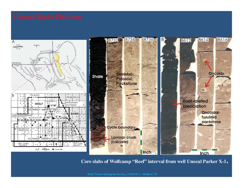 Synthesis of the Wolfcampian platform carbonate system in the Permian Basin Region – West Texas Geological Society – slide 19