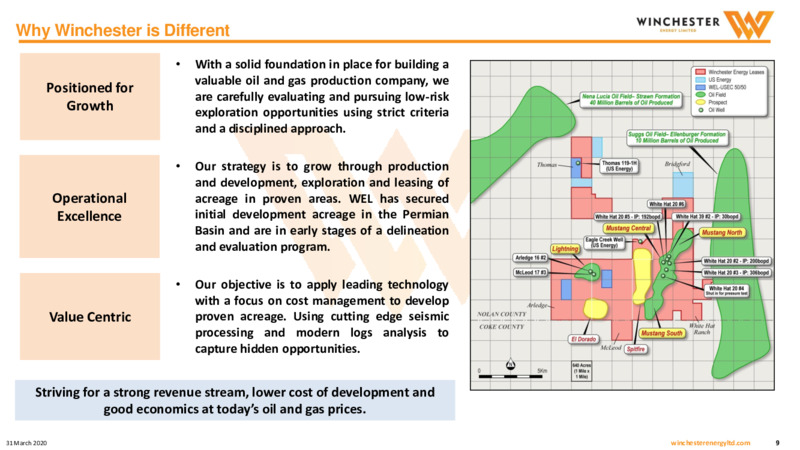 March 2020 Investor Presentation – Winchester Energy Co., Ltd. – slide 9