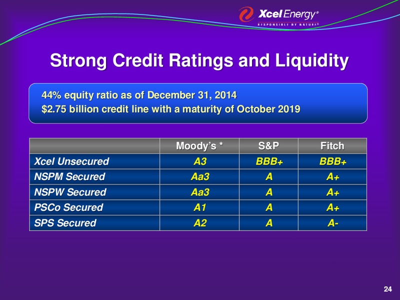 Investor Meetings – Xcel Energy – slide 23