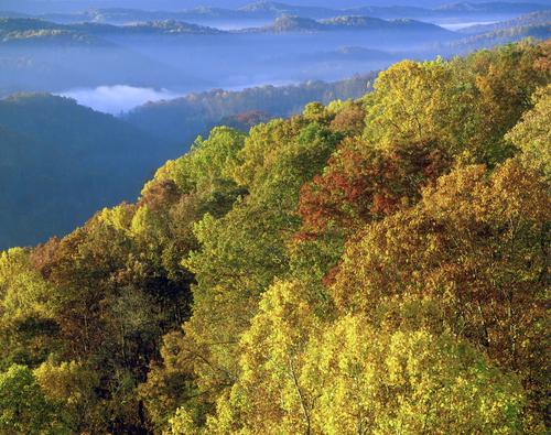 Stone Energy Plans Numerous Marcellus Wells In 2013