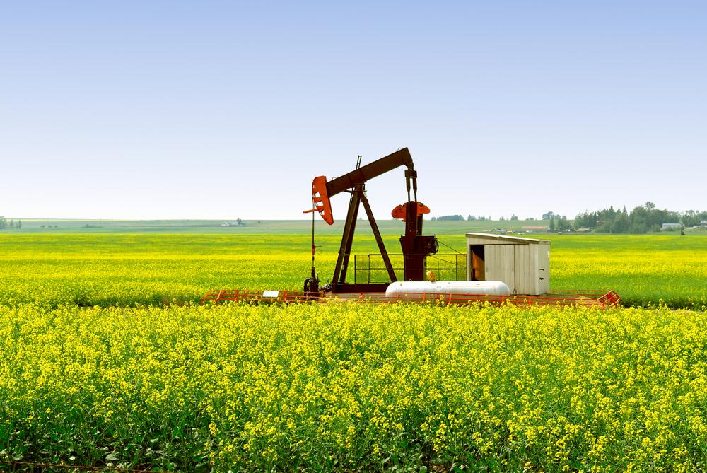 Private Company Drills 2,000 BOPD Wolfcamp Well in Upton County