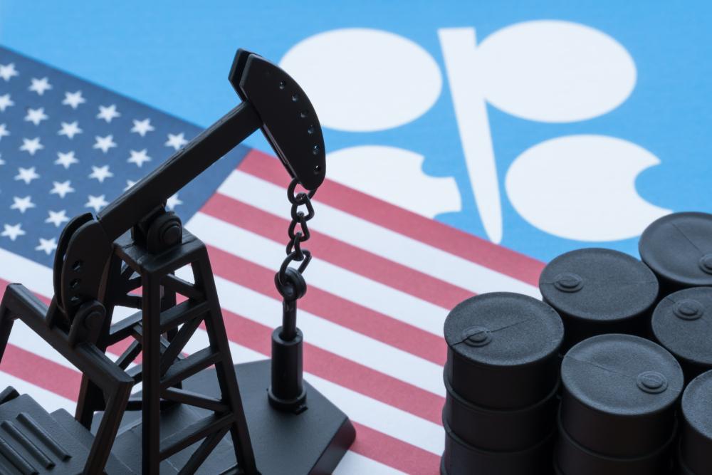 Saudi Arabia to Cut 1 Million Barrels Per Day in February, March