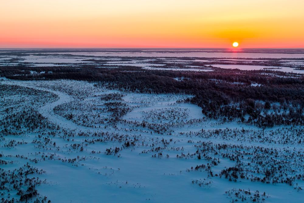 ExxonMobil Tapped to Drill Russia's Bazhenov Shale