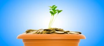 Kinder Morgan 2013 Financials Talk Strong Growth Plans