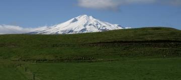 New Zealand Energy Pegs Fifth Taranaki Oil Discovery
