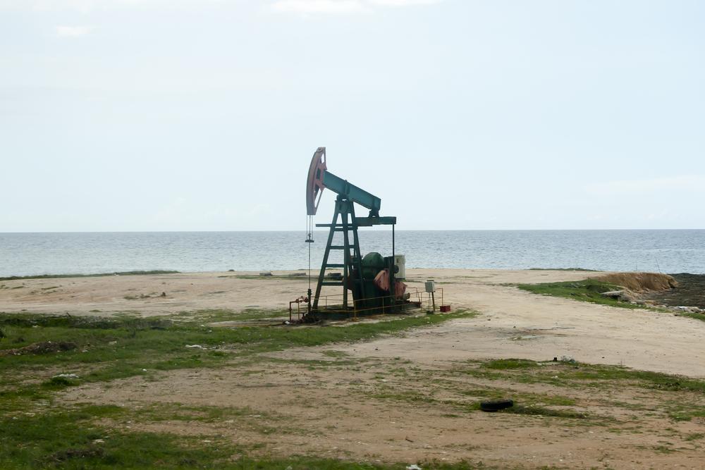 Houston County, TX : Vertical Georgetown Formation Wells Flows 484 Bo/d